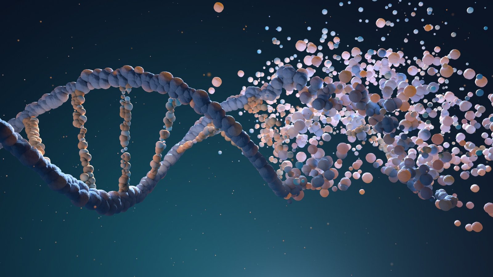 DNA strand assembling from different elements